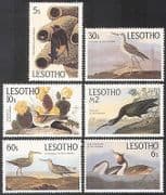 Lesotho 1985 Audubon / Birds / Art / paintings / Nature / People 6v set ref:b1282
