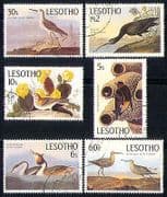 Lesotho 1985 Audubon / Birds / Nature / Ibis 6v vfu (n31006)