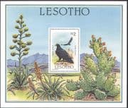 Lesotho 1986 Black Eagle/ Cacti/ Cactus/ Birds/ Raptors/ Nature 1v m/s (b1390)
