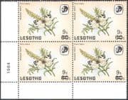 Lesotho 1986 Butterflies/ Meadow White Butterfly/ Insects/ Nature 9s on 60s surcharge blk a62