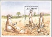 Lesotho 1988 Meerkats/ Animals/ Wildlife/ Nature/ Conservation 1v m/s (n16329)
