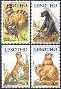 Lesotho 1988 Small Mammals / Bird / Honey Badger / Animals / Nature 4v set (n16509)