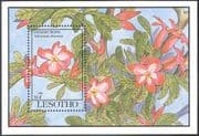 Lesotho 1993 Desert Rose/ Flowers/ Plants/ Nature 1v m/s (s5537)