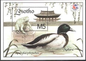 Lesotho 1994 Frogs/ Mallard/ Ducks/ Birds/ Nature/ StampEx 1v m/s (s2649)