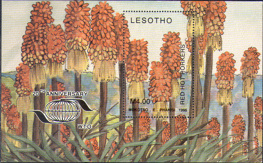 Lesotho 1996  RED HOT POKERS (PORKERS spelling ERROR)/ Aloes/ Tourism  1v m/s   (n14055)