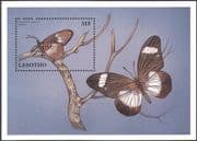 Lesotho 1997 Butterfly/ Bematistes aganice/ Butterflies/ Insects/ Nature/ Conservation 1v m/s (b569)