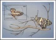 Lesotho 1997 Butterfly/ Papilio demodocus/ Butterflies/ Insects/ Nature/ Conservation 1v m/s (b570)