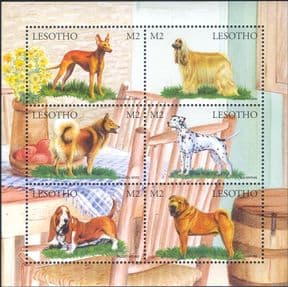 Lesotho 1999 Dalmatian/ Shar-pei/ Spitz/ Dogs/ Domestic Animals/ Nature/ Pets  6v shtlt  (n18741)