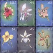 Lesotho 1999 Orchids of the World/ Flowers/ Plants/ Nature/ Orchid 6v set (n18761a)