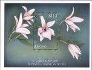Lesotho 1999 Orchids/ Plants/ Flowers/ Nature/ "Laelia rubescens" 1v m/s (n18767)