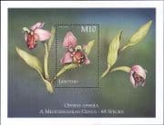 Lesotho 1999 Orchids/ Plants/ Flowers/ Nature/ "Ophrys apifera" 1v m/s (n18770)