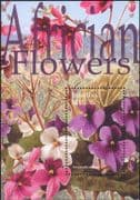 Lesotho 2004 Flowers of Africa/ African Violet/ Plants/ Nature 1v m/s (n18763)