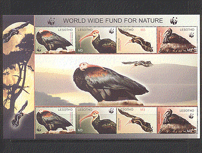 Lesotho 2004 WWF / Birds / Bald Ibis 8v shtlt (n18699)