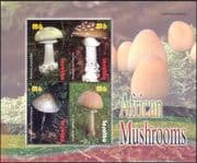 Lesotho 2007 Fungi/ Mushrooms/ Nature/ Plants/ Conservation 4v m/s (n18297)