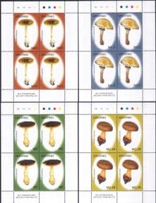 Lesotho 2007  Fungi/ Mushrooms/ Plants/ Nature  4 x 4v set  (sheetlets)  (n18303b)