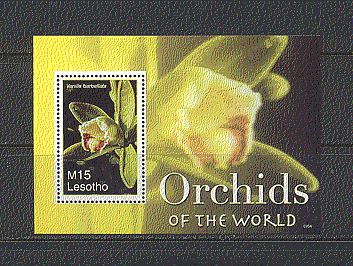 Lesotho 2007 Orchids / Flowers / Nature / Plants m / s (n18306)