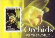 Lesotho 2007 Orchids of the World/ Flowers/ Plants/ Nature/ Vanilla Vine 1v m/s (n18463)