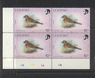 Lesotho BIRDS ERROR control blk ref:n16504