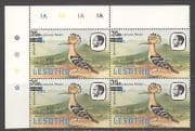 Lesotho Hoopoe / Bird / 35s on 75s / 1981 imprint c / b n22439