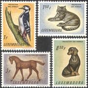 Luxembourg 1961 Woodpecker/ Horse/ Dog/ Cat/ Animals/ Birds /Nature/ Protection 4v set (n42321)