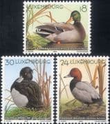 Luxembourg 2000 Mallard/ Pochard/ Birds/ Ducks/ Nature/ Wildlife 3v set (n31618)