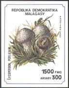 Madagaskar/Madagascar 1990 Fungi / Mushrooms / Nature m/s ref:s255