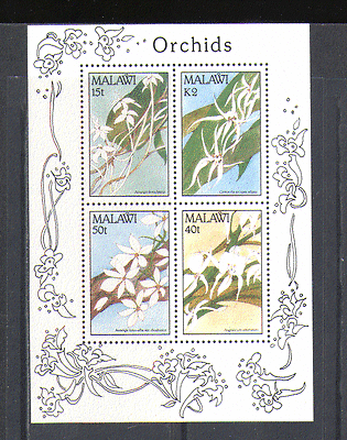 Malawi 1990 Orchids / Flowers / Nature / Plants 4v m / s n14844