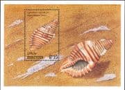 Maldives 1993 Black-striped Triton/ Sea Shells/ Seashells/ Marine/ Nature/ Animals 1v m/s (b7862b)