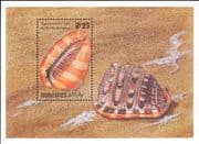 Maldives 1993 Bull-mouth Helmet/ Sea Shells/ Seashells/ Marine/ Nature/ Animals 1v m/s (b7862a)