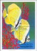 Maldives 1993 Butterflyfish/ Fish/ Marine/ Tropical/ Wildlife/Nature 1v m/s (b6745g)