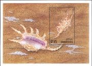 Maldives 1993 Conch/ Sea Shells/ Seashells/ Marine/ Nature/ Animals 1v m/s (b7862)