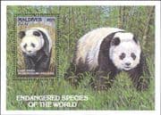Maldives 1993 Giant Panda/ Animals/ Nature/ Wildlife/ Conservation 1v m/s (s3470e)