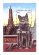 Maldives 1994 Korat/ Domestic Cats/ Animals/ Nature/ Pets 1v m/s (b2105e)