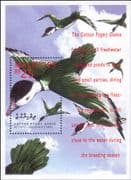 Maldives 1995 Cotton Pygmy Goose/ Teal/ Duck/ Birds/ Nature/ Wildlife 1v m/s (b2279c)