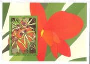 Maldives 1995 Tropical Orchids/ Flower/ Nature/ Plants/ Conservation 1v m/s (b9427u)