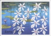 Maldives 1997 Flowers/ Plants/ Nature/ Orchids 1v m/s (b9427q)