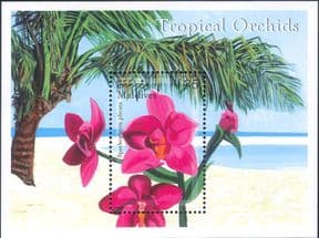 Maldives 2000  Tropical Orchids/ Flower/ Nature/ Plants/ Conservation  1v m/s  (b9427s)