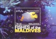 Maldives 2006 Angelfish/ Fish/ Nature/ Marine/ Wildlife 1v m/s (b7836a)