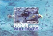 Maldives 2006 Triggerfish/ Fish/ Nature/ Marine/ Wildlife 1v m/s (b7836b)