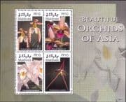 Maldives 2007 Orchids/ Plants/ Nature/ Flowers 4v m/s (n26363)