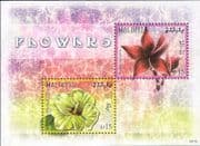 Maldives 2009 Flowers/ Plants/ Nature/ Frangipani/ Hibiscus 2v m/s (b9427n)