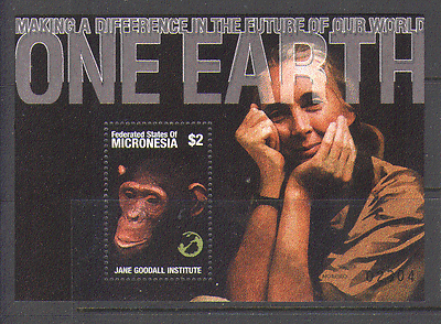 Micronesia 2001 CHIMPANZEE / Nature / Enviroment m / s n15667