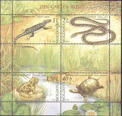 Moldova 2005 Reptiles / Toad / Turtle / Snake 4v m / s (n15251)