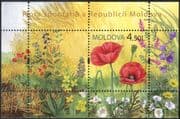 Moldova 2009 Wild Flowers/ Poppy/ Poppies/ Plants/ Nature 1v m/s (n44449)