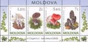 Moldova 2010 Fungi/ Mushrooms/ Nature/ Plants 4v m/s (md1037)