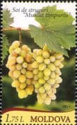 Moldova 2013 Grapes/ Wine/ Alcohol/ Plants/ Nature/ Horticulture/ Farming 1v (md1024)