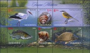 Moldova 2014  Stork/ Wagtail/ Zander/ Carp/ Birds/ Fish/ Snails/ Nature/ Wildlife  6v m/s (md1051)