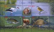 Moldova 2014 Stork/ Wagtail/ Zander/ Carp/ Birds/ Fish/ Snails/ Nature/ Wildlife 6v m/s (md1051)