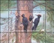 Moldova 2018 Black Woodpecker/ Birds/ Nature/ Wildlife/ Conservation 1v m/s (md1001)