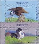 Moldova 2019 Europa/ Birds/ Golden Eagle/ White Stork/ Nature/ Raptor 2v set (md1050)